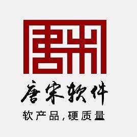 广西唐宋软件有限公司