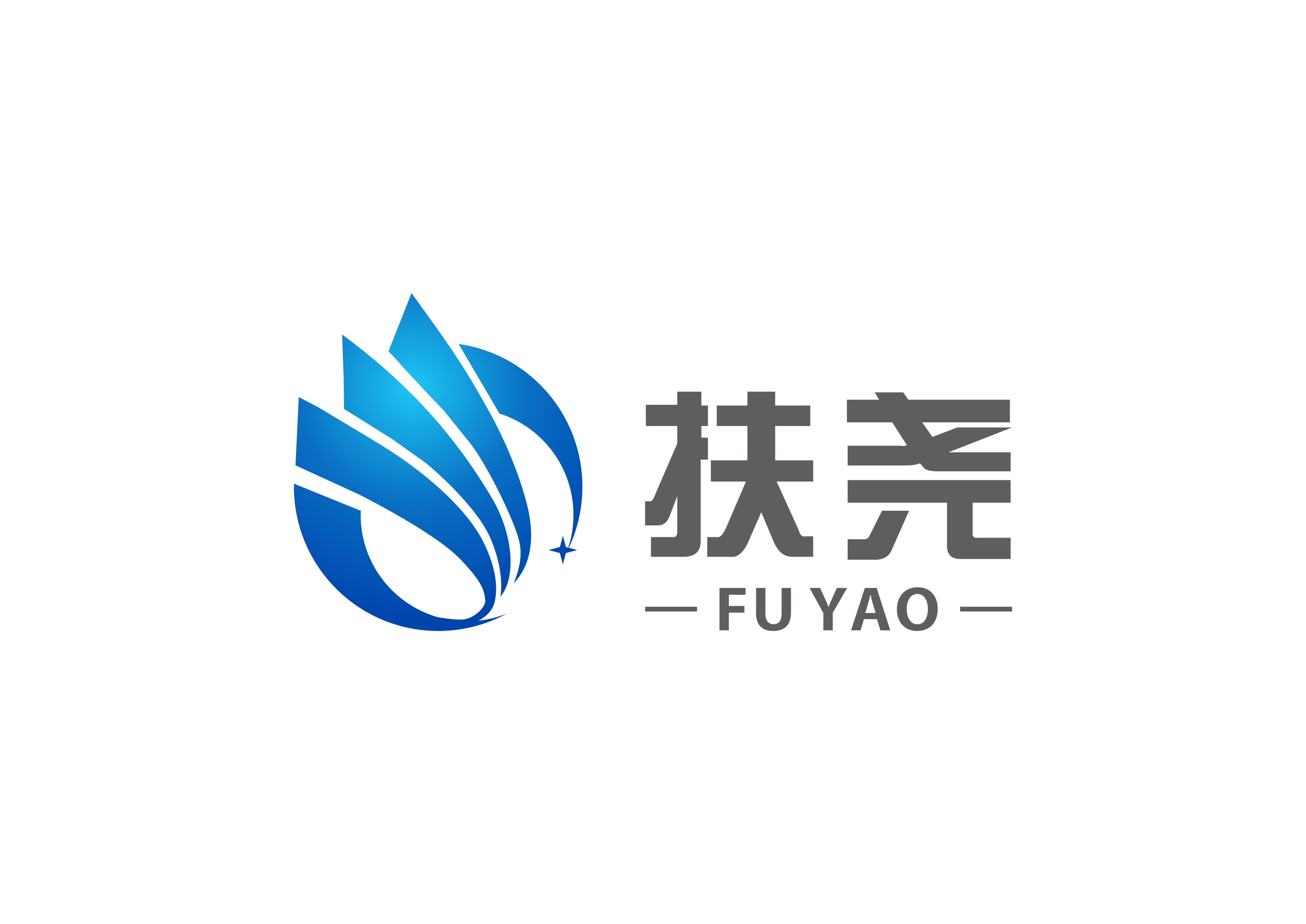 扶尧信息技术(上海)有限公司