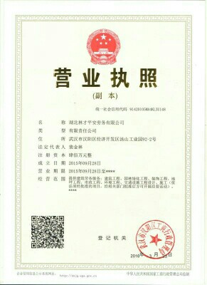 湖北林才平安劳务有限公司