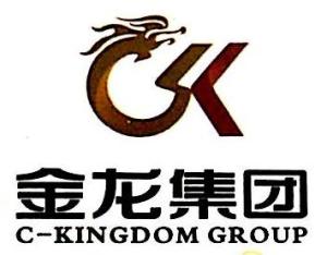 湖南金龙国际铜业有限公司