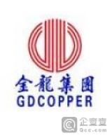 金龙精 密铜管集团股份有 限公司的搜索结果