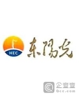 深圳市东阳光实业发展有限公司