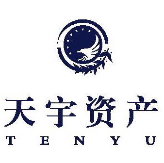 大连天宇资产管理有限公司