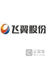 飞翼集团有限公司