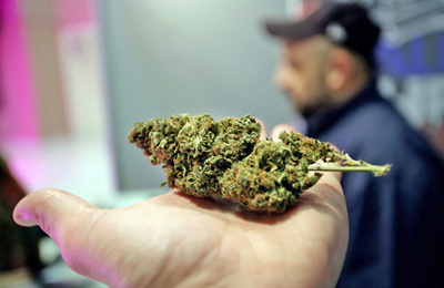 工业大麻机械化难不难? 吉峰科技:精密播种在国外已较普遍