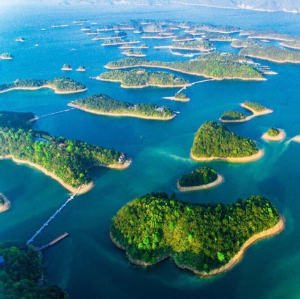 广东星罗棋布农贸有限公司