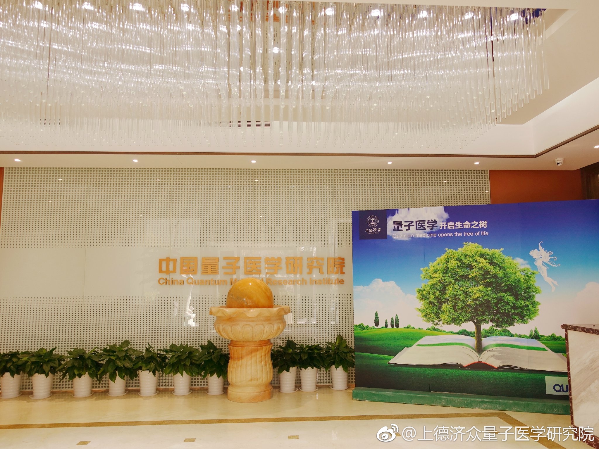 独家挖掘|"中国国学院大学"被摘牌,背后组织是个"老赖"