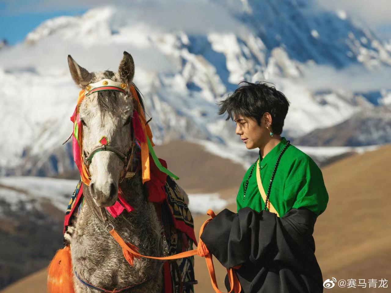 丁真工作室注册赛马青龙商标