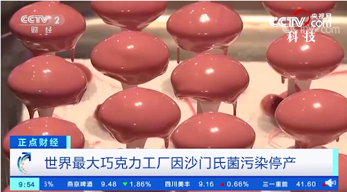 世界最大巧克力工厂因沙门氏菌污染停产