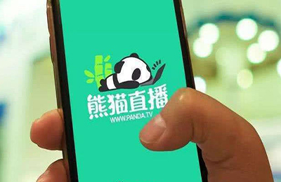 不回家上班,繼續創業 王思聰攜普思投資承擔近20億元投資損失